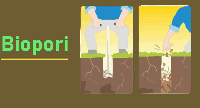 bioporir